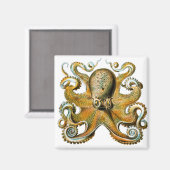 Aimant poulpe ernst haeckel (Recto/Verso)