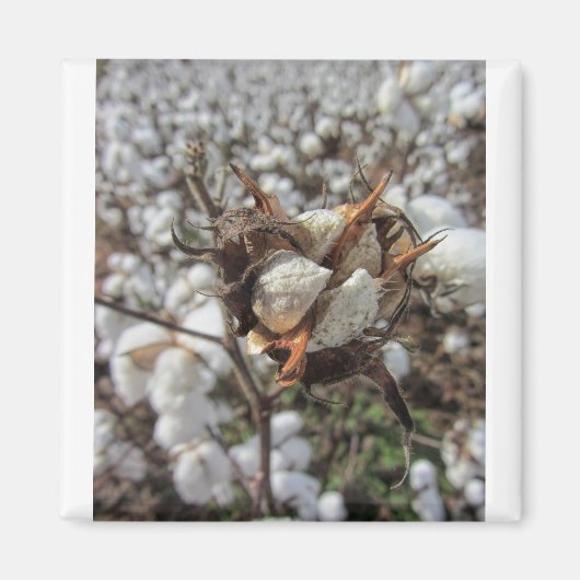 Aimant Poupées en coton blanc (Devant)