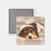 Aimant pour animal de compagnie personnalisable av (Recto/Verso)