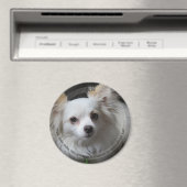 Aimant pour animaux de compagnie HAMbyWG (In Situ (Lave-vaisselle))