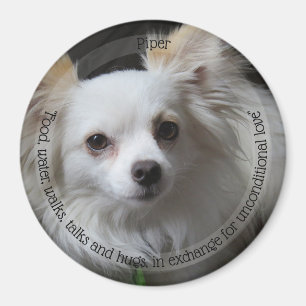 Aimant pour animaux de compagnie HAMbyWG