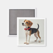 Aimant pour diverses utilisations (Recto/Verso)