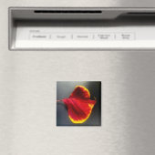 Aimant pour feuilles (In Situ (Lave-vaisselle))