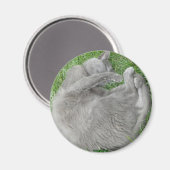 Aimant pour la sieste de chat gris (Recto/Verso)