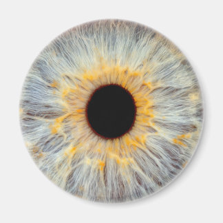 Aimant pour les yeux