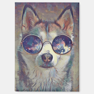 aimant pour lunettes de toutou
