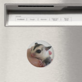 aimant pour planeur à sucre (In Situ (Lave-vaisselle))