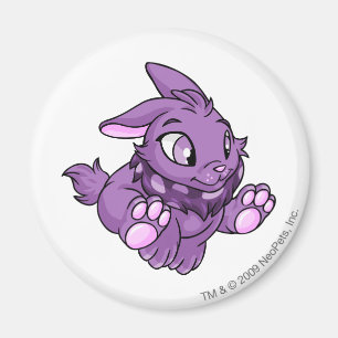 Aimant Pourpre de Cybunny