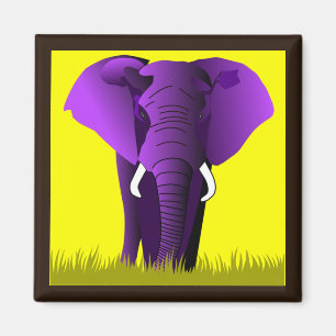 Aimant pourpre d'éléphant