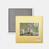 Aimant Pourquoi les chiens trouvent-ils cela si difficile (Recto/Verso)