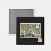 Aimant Pourquoi les chiens trouvent-ils cela si difficile (Recto/Verso)