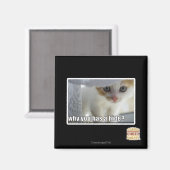 Aimant Pourquoi tu as une peau ? (Recto/Verso)