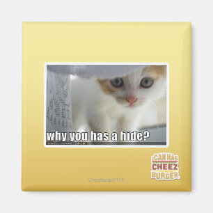 Aimant Pourquoi tu as une peau ?