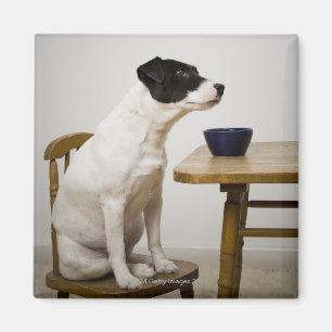 Aimant Poursuivez se reposer sur une chaise devant une