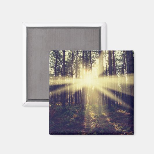 Aimant Poutres de forêt (Recto/Verso)