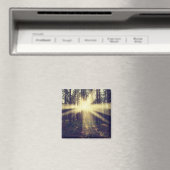 Aimant Poutres de forêt (In Situ (Lave-vaisselle))