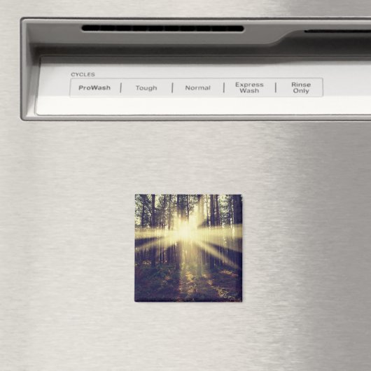 Aimant Poutres de forêt (In Situ (Lave-vaisselle))