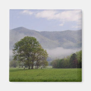 Aimant Prairie brumeuse et Rich Mountain, Cades Cove,