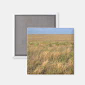Aimant Prairie de prairie à l'est de Sidney, Nebraska. (Recto/Verso)