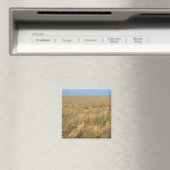 Aimant Prairie de prairie à l'est de Sidney, Nebraska. (In Situ (Lave-vaisselle))
