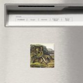 Aimant Prairie Wolf (In Situ (Lave-vaisselle))