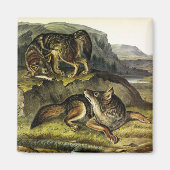Aimant Prairie Wolf (Devant)