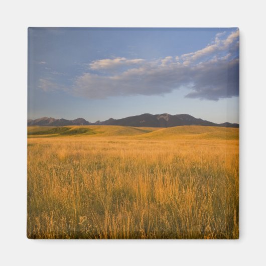 Aimant Prairies dans les contreforts de la (Devant)