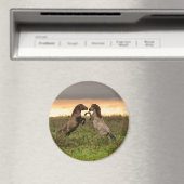 Aimant Prancing des chevaux sauvages autour de l'aimant (In Situ (Lave-vaisselle))