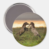 Aimant Prancing des chevaux sauvages autour de l'aimant (Recto/Verso)