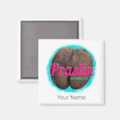 Aimant Praslin Seychelles Indian Ocean Vintage Souvenir (Recto/Verso)