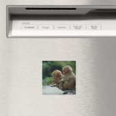 Aimant Préfecture de Nagano, Japon (In Situ (Lave-vaisselle))