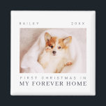 Aimant Premier Noël de l'animal de compagnie dans Forever<br><div class="desc">Design est composé de typographie chic moderne avec sans serif et serif police. Ajoutez une photo personnalisée de l'animal de compagnie adopté et de l'année.</div>