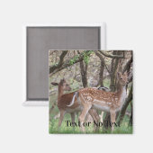 Aimant Premium Faune Cerf Tacheté (Recto/Verso)