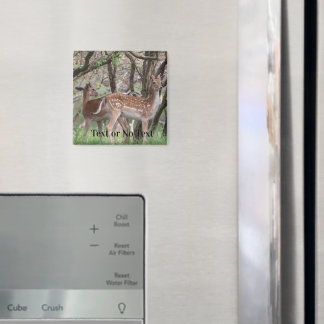 Aimant Premium Faune Cerf Tacheté