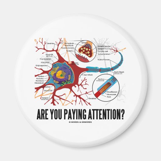 Aimant Prends-Tu Attention ? (Humour Synapse du neurone) (Devant)