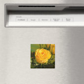 Aimant Prenez le temps de sentir la rose jaune (In Situ (Lave-vaisselle))