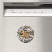 Aimant Prenez un objet Break_Magnet (In Situ (Lave-vaisselle))