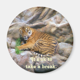 Aimant Prenez un objet Break_Magnet