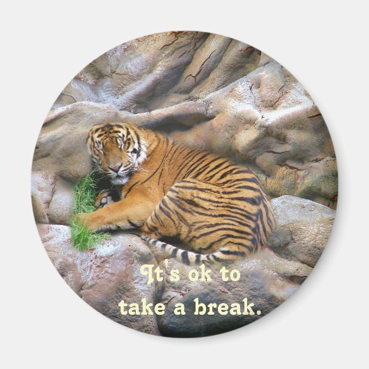 Aimant Prenez un objet Break_Magnet (Devant)