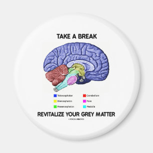 Aimant Prenez Une Pause Revitalisez Votre Matière Grise (
