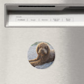 Aimant prestataire avec lagotto marron (In Situ (Lave-vaisselle))