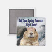 Aimant Prévisions de printemps de marmotte (Recto/Verso)