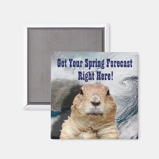 Aimant Prévisions de printemps de marmotte (Recto/Verso)