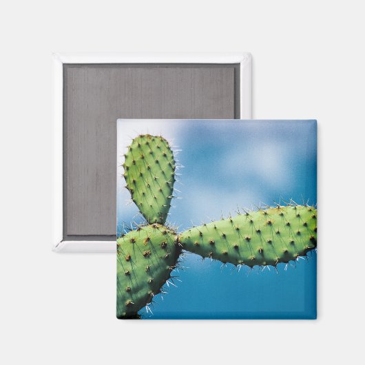 Aimant Prickley Cactus (Recto/Verso)