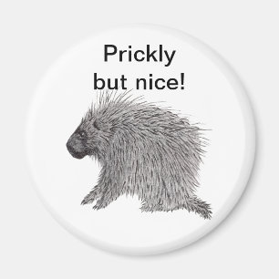 Aimant Prickly mais Nice Porcupine