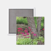 Aimant Primrose japonaise rose Floral (Recto/Verso)