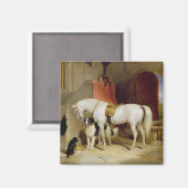 Aimant Prince George Favourites (Recto/Verso)