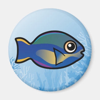 Aimant Princess Parrotfish