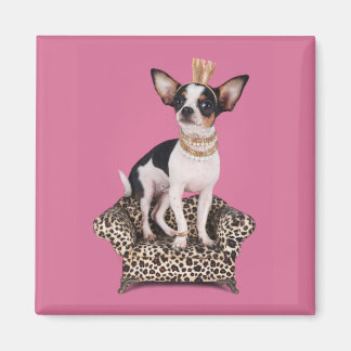 Aimant Princesse de Chihuahua