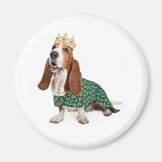 Aimant Princesse d'Irlande Basset (Devant)